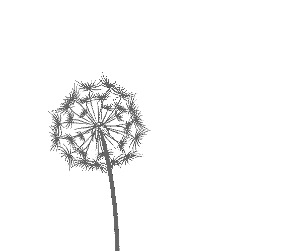 Dandelion031715_01 Dandelion031715_01